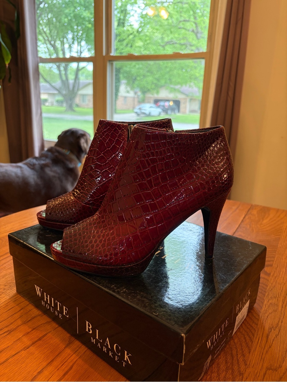 White House Black Market Burgundy Croc-Embossed Peep-Toe Booties - Picture 3 of 7